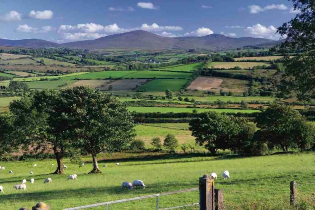 Sperrin View *