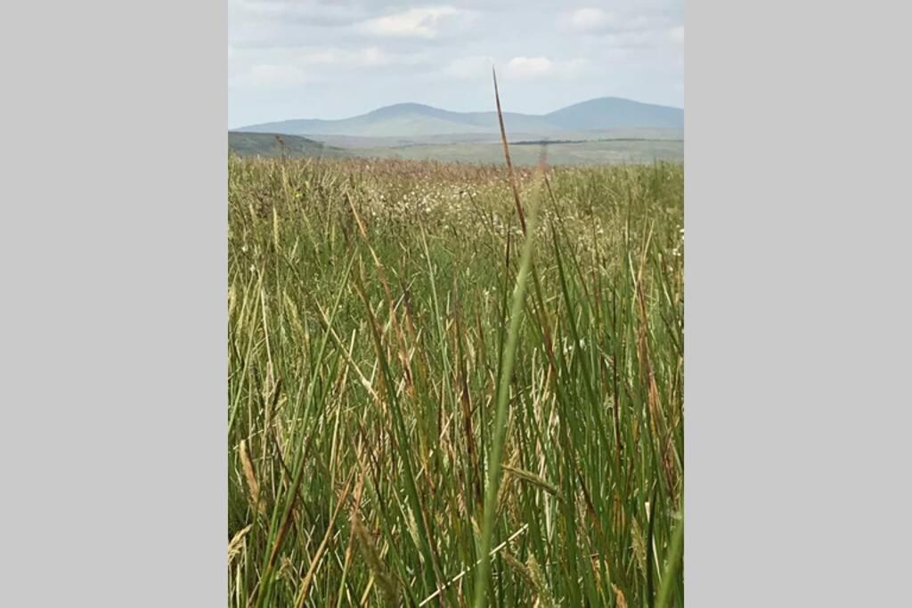 Sperrin View Holiday home *