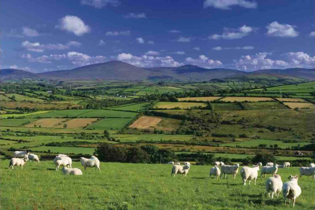 Sperrin View * Omagh